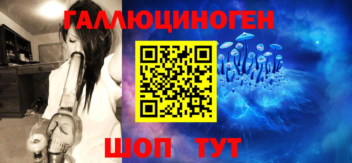 Псилоцибиновые грибы мицелий  Вход с VPN  Избербаш 